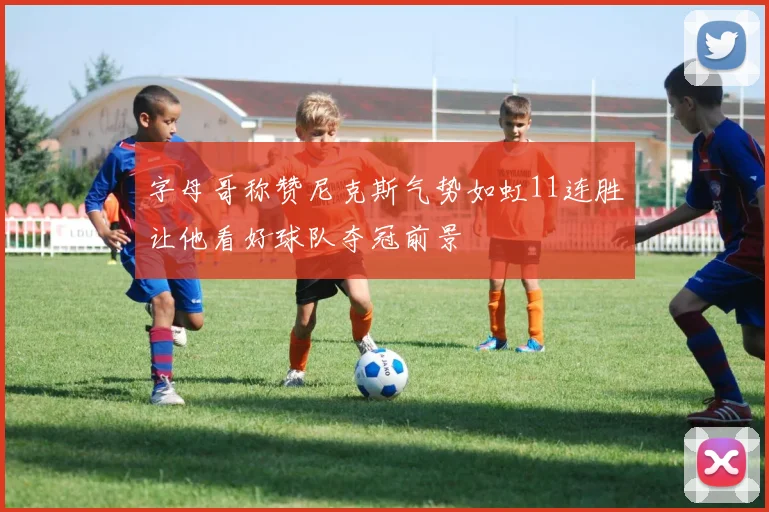 字母哥称赞尼克斯气势如虹11连胜让他看好球队夺冠前景