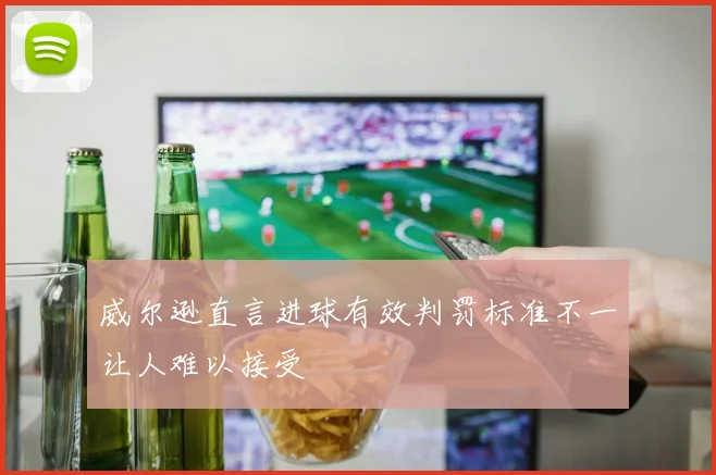 威尔逊直言进球有效判罚标准不一让人难以接受
