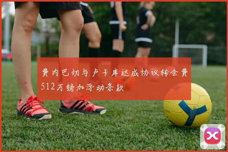 费内巴切与卢卡库达成协议转会费512万镑加浮动条款